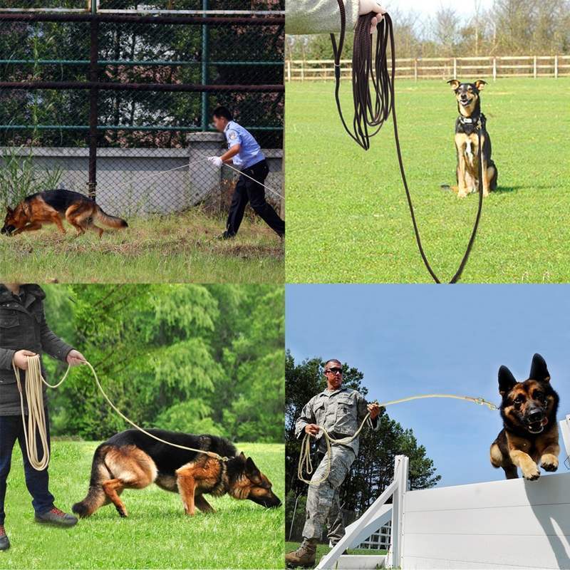 Hundetrainingsgürtel