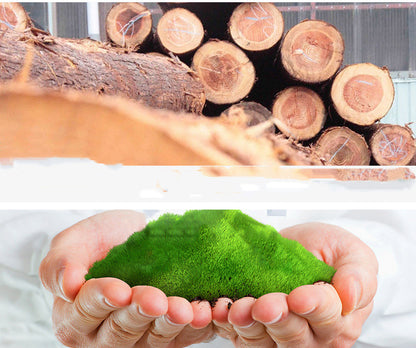 Blumentopf-Untersetzer mit Rollen - Rund aus Karbonisiertem Holz