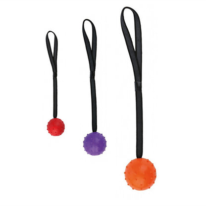 Bite Resistant Rubber Ball – Hundespielzeug Training