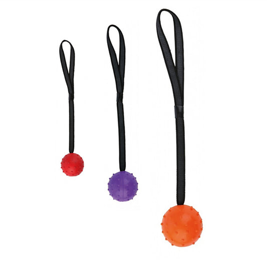 Bite Resistant Rubber Ball – Hundespielzeug Training