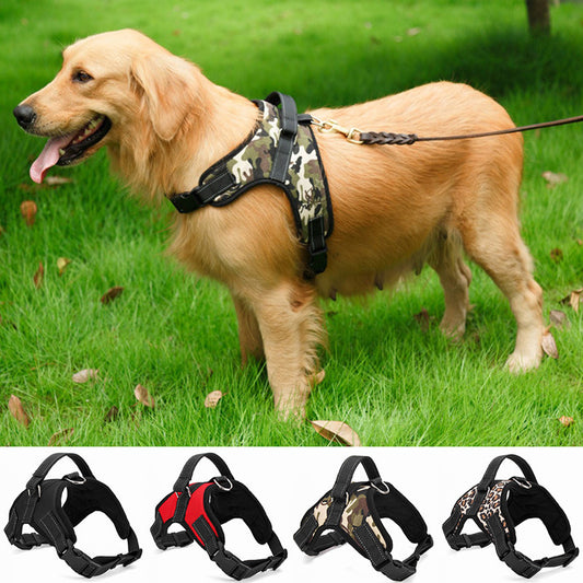 Dog Collar für mittelgroße und große Hunde