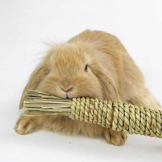 Pet Hand Woven Water Grass Carrot Toy