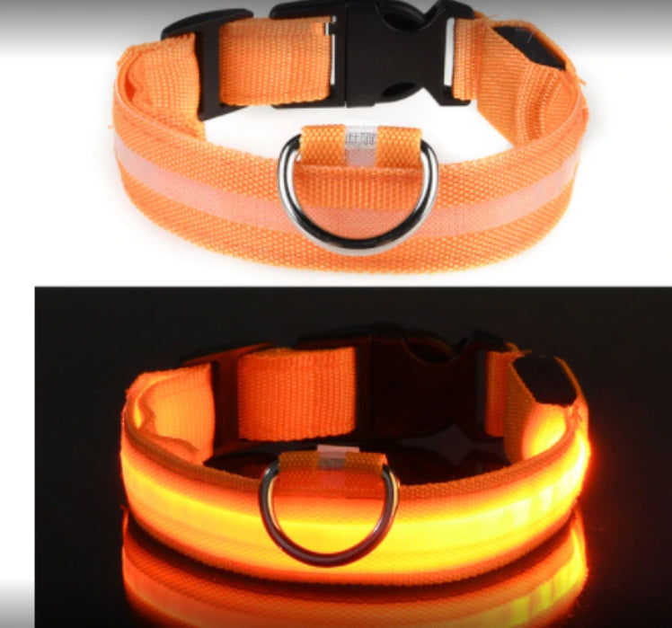 Wasserdichtes Haustierhalsband mit magnetischer Aufladung aus Glasfaser