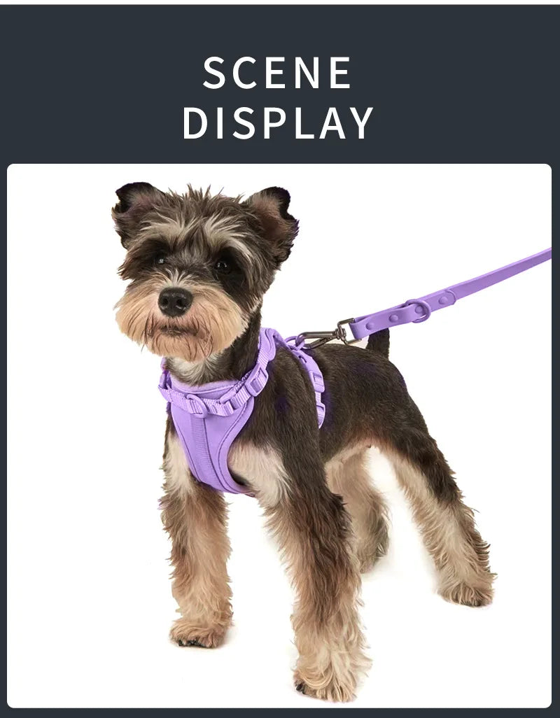 Luxury Waterproof PVC Neoprene Pet Poop Bag Dispenser Set, Dog Harness, Leash Collar Set for Dog, High Quality