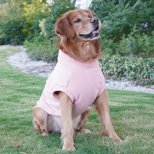 Pet Labrador Golden Retriever Dog Clothes Large Breed Winter Warm Pet Clothes European and American Cross-border Wholesale