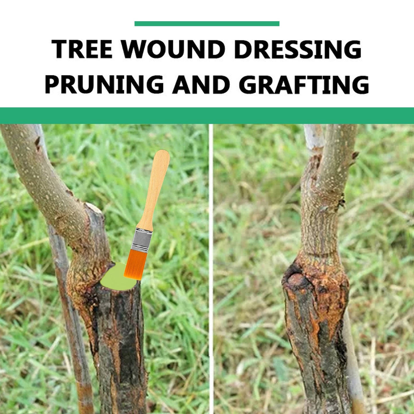 Seedling Tree Wound Sealer Callus Scars Cut Paste Bonsai Pruning Sealer Saw Cuts Coating Tree Wound Healing Paste Tree