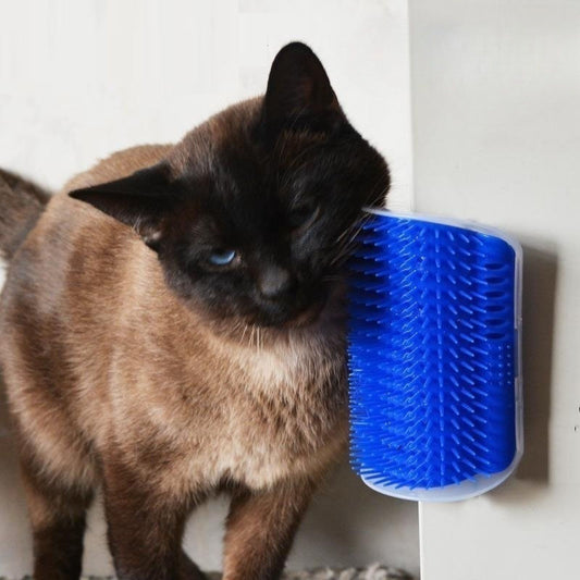 Neue vierfarbige Wandeckenbürste mit kostenlosem Katzenminzpulver, hautfreundlichem Katzenmassagegerät, Katzenkamm
