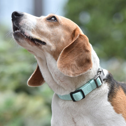 PETMARVEL Heavy Duty Solid Dog Collar Neoprene Padded 1 In Wide