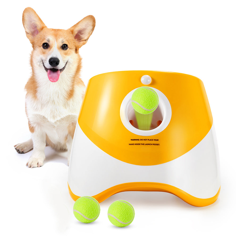 Automatic Throwing Machine  Pet Outdoor Toy Ball Dog Tennis Launcher  Dog Walking Tool - Alles für deine Haustiere 