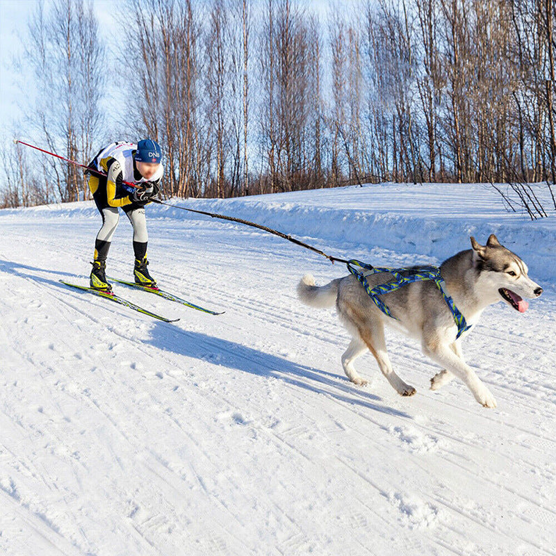 Hundezuggeschirr mit Leine - Robustes Brustgeschirr für Hunde