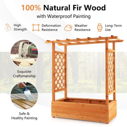 Raised Garden Bed With Trellis Or Climbing Plant And Hanging Roof