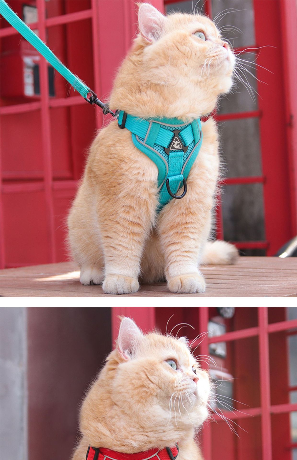 Hundegeschirr Weste mit Leine - Atmungsaktiv & Anti-Verlust für Hunde & Katzen