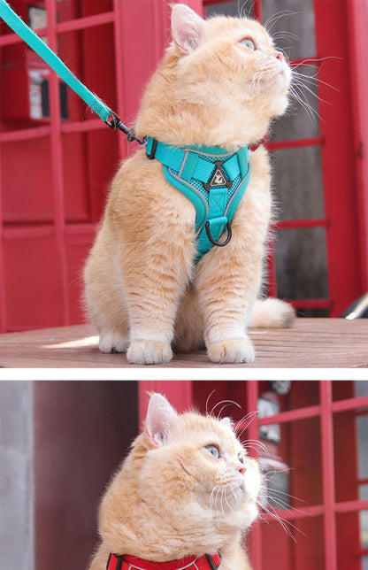 Hundegeschirr Weste mit Leine - Atmungsaktiv & Anti-Verlust für Hunde & Katzen