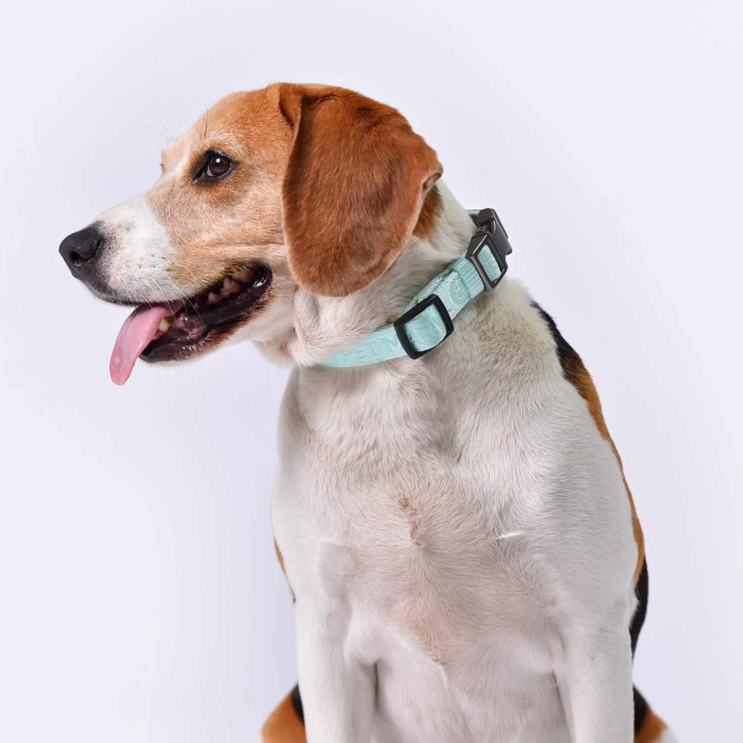 PETMARVEL Heavy Duty Solid Dog Collar Neoprene Padded 1 In Wide