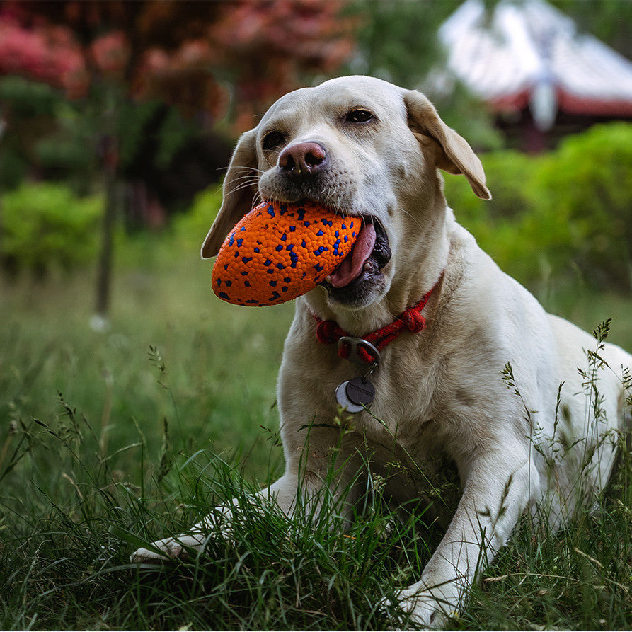 Teeth-resistant Pet Dog Chewing Toy Football