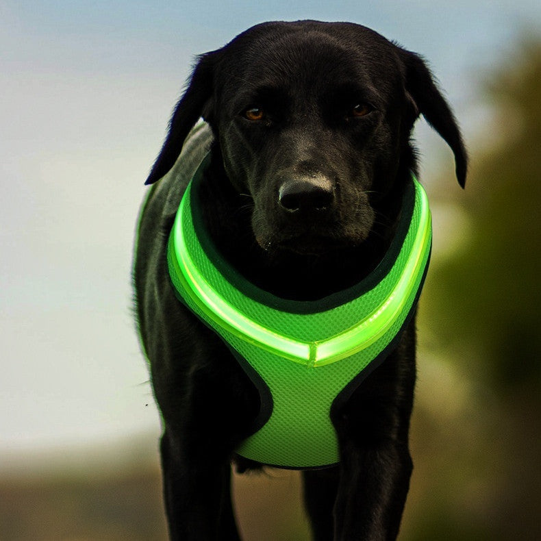 LED-Leuchtendes Hundegeschirr, LED-USB-Ladegerät, Brustgurt, Sicherheitsweste für Haustiere, reflektierendes Geschirr, Haustierweste für Welpen, große Hunde, Haustierprodukte