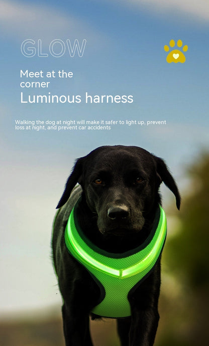 LED-Leuchtendes Hundegeschirr, LED-USB-Ladegerät, Brustgurt, Sicherheitsweste für Haustiere, reflektierendes Geschirr, Haustierweste für Welpen, große Hunde, Haustierprodukte