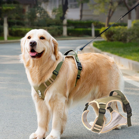 Pet Harness with Leash – Hundegeschirr mit Führleine