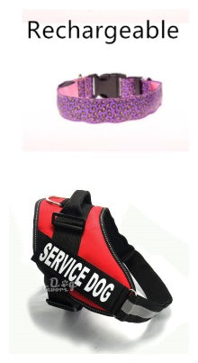 LED Dog Collar Safety Adjustable Nylon Leopard Pet Collar - Alles für deine Haustiere 