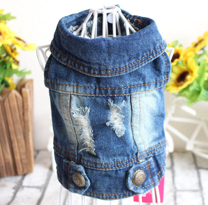 Hundejacke Jeans - Designer-Weste für kleine Hunde & Katzen