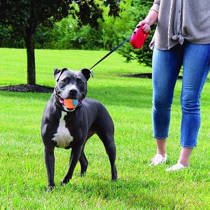 Dog Molar Training Ball – Sounding Hundespielzeug